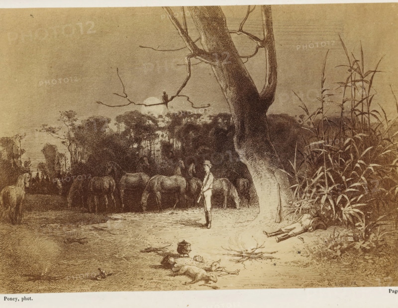 Photo reproduction of a drawing of a camp in the Australian outback, Jack devait dormir le premier, tandis que je monterais la garde..., photograph, reproduction, page, inscription: 'Page 26.', photographer: François Poncy, after drawing by Gabriel Liquier, c. 1863 - in or before 1868, paper, albumen print, height 118 mm x width 169 mm, Photo on unnumbered page after page 26., camp-fire, watch-fire, sleeping on the ground - BB - out of doors, Australia, A sepia-toned scene shows a large tree trunk in the foreground with tall grasses beside it and a branch extending outward where a small bird perches; behind the tree a group of grazing horses stand near a line of dense trees and bushes beneath a pale circular shape low on the horizon; a standing figure in light clothing and a hat holds a staff near the horses while a person reclines against the base of the grasses to the right; in the foreground on the ground there are scattered small objects, a pot, and two animals lying on the ground.