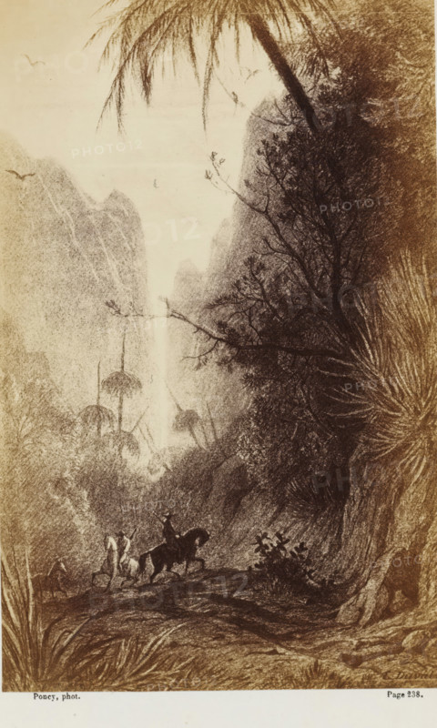 Photo reproduction of a drawing of horsemen in a valley in Australia, Les derniers rayons du soleil couchant, pénétrant dans cette étroite vallée, doraient les rocs élevés..., photograph, reproduction, page, inscription: 'Page 238.', photographer: François Poncy, after drawing by Louis-Étienne Duval, c. 1863 - in or before 1868, paper, albumen print, height 175 mm x width 111 mm, Photo on unnumbered page after page 238., riding a horse, ass, or mule, rider, horseman, dusk, evening twilight, dale, valley, A monochrome landscape drawing showing a deep valley framed by steep, textured cliffs and dense foliage, with tall, thin trees and drooping fronds at the top and a variety of bushy plants along the slopes; a narrow waterfall descends from the distant heights into the misty basin, and several birds are visible in the sky above; in the foreground a small group of riders on horses traverse a rocky path, one rider upright on a dark horse while others and their mounts follow nearby, and det...