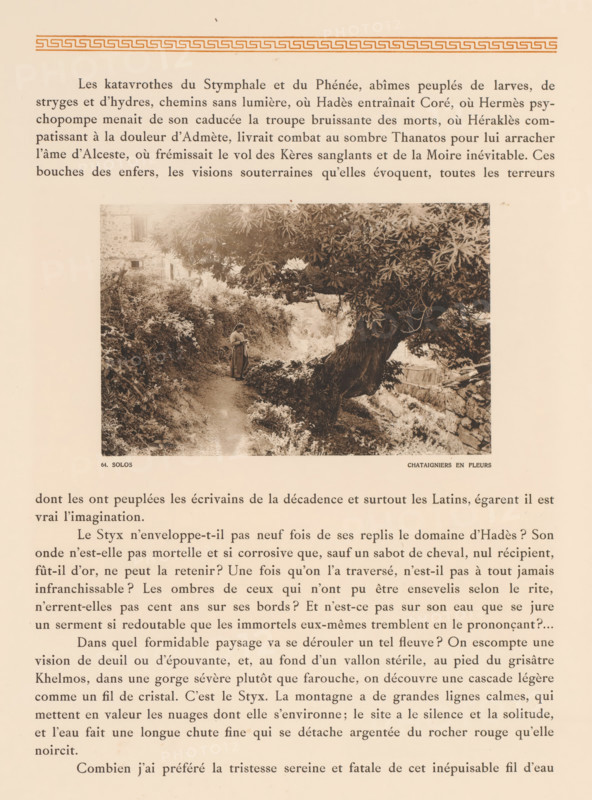 Woman near a chestnut tree in Greece, Solos, chataigniers en fleurs, page, photomechanical print, number: '64.', photographer: Frédéric Boissonnas, Greece, cliché maker: Meisenbach, Riffarth & Cie., Berlin, c. 1905 - in or before 1910, paper, collotype, photoprint, height 110 mm x width 169 mm, Photo on page 65., adult woman, fruits: chestnut, A sepia-toned page showing a bordered title area at the top, a rectangular photographic image in the upper middle depicting a woman standing on a dirt path beside dense foliage and a large gnarled tree with broad leaves leaning over the path, a stone wall and vegetation visible around the tree, and columns of printed text above and below the photograph.