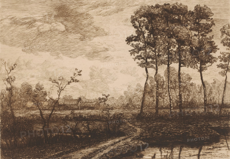 Landscape with row of birches, print, printmaker: Jerôme Tuyttens (signed by artist), c. 1850 - 1883, paper, chine collé, etching, drypoint, retroussage, intaglio printmaking technique, height 203 mm x width 283 mm, A sepia-toned sketch of a landscape showing tall, slender trees with detailed foliage on the right and a row of lower vegetation extending toward the center, a winding dirt path running from the foreground toward the middle ground, a calm pond or wet area reflecting dark lines near the bottom edge, a cluster of low-roofed buildings partially obscured by trees in the distance, and a sky filled with layered, swirling clouds rendered in fine, linear strokes.