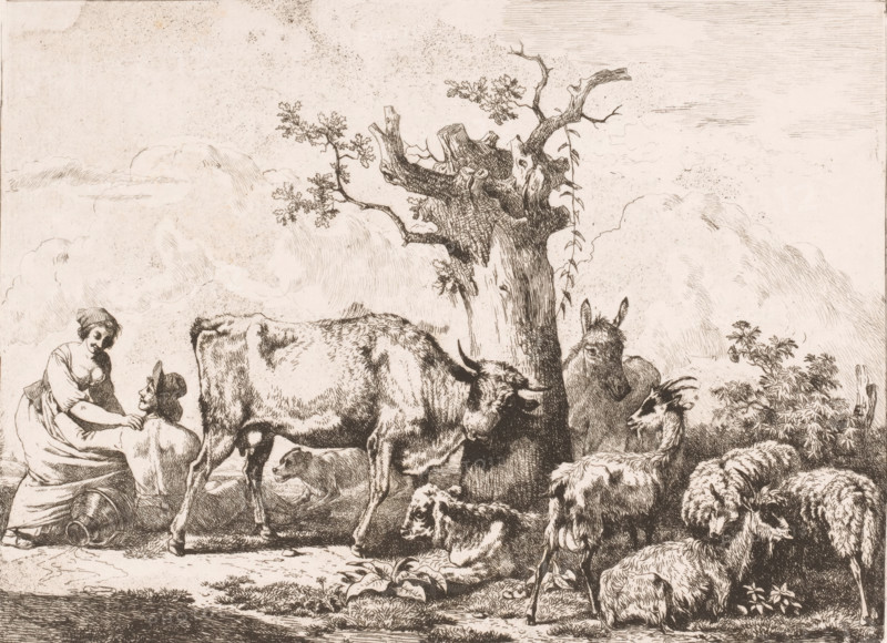 Landscape with cattle around a tree and a man and woman embracing, print, printmaker: attributed to Jean Louis Demarne, 1762 - 1829, Attributed to, paper, etching, aquatint, intaglio printmaking technique, aquatint and plate tone, height 226 mm x width 293 mm, herding, herdsman, herdswoman, shepherd, shepherdess, cowherd, couple of lovers, cattle, A detailed monochrome drawing shows a pastoral scene with a woman and a seated man near a group of animals; the woman faces the man with one hand on his shoulder while a large cow stands close by, partially turned, and a calf lies near its legs. To the right a donkey sits beside a weathered tree trunk with sparse branches and small leaves, a goat and several sheep lie and stand among low vegetation, and a dog rests on the ground. The background features soft, cloudlike formations and fine line shading across the sky, with textured ground and foliage details throughout.