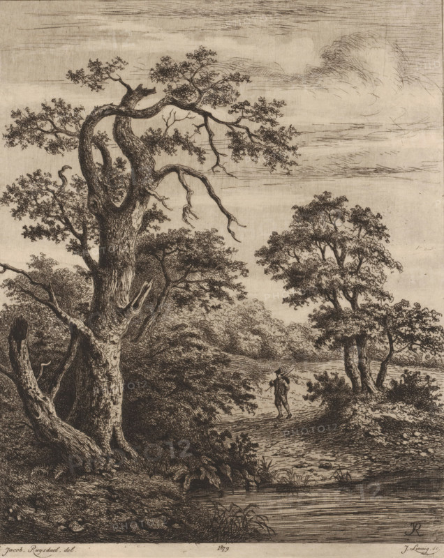 Landscape with walker near water, print, printmaker: Jean Théodore Joseph Linnig, after drawing by Jacob Salomonsz. van Ruysdael, 1879, paper, chine collé, etching, roulette, intaglio printmaking technique, etching and roulette with plate tone, height 248 mm x width 199 mm, landscapes in the temperate zone, A detailed monochrome etching shows a wooded landscape with a large, gnarled tree trunk in the foreground, its textured bark and twisting branches extending upward and outward, some branches bearing clusters of small leaves and some bare twigs. Behind and beside the main tree are several smaller trees and dense undergrowth with leafy foliage. A narrow path or clearing winds through the scene toward a body of water in the middle distance, where a solitary figure stands near the shore, facing away and wearing a hat and clothing indicated by line work. Reflections and rippling lines mark the water surface, and low hills or distant trees appear along the horizon beneath a sky rendered w...