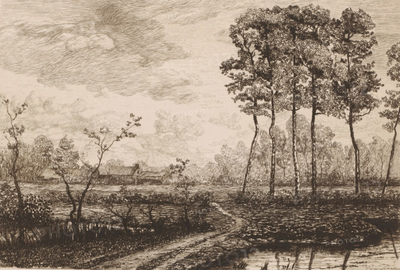 Landscape with row of birches, print, printmaker: Jerôme Tuyttens (signed by artist), c. 1850 - 1883, paper, etching, drypoint, retroussage, intaglio printmaking technique, height 201 mm x width 285 mm, A sepia-toned pen drawing shows a flat landscape with a foreground of marshy ground and a narrow winding path leading toward the middle distance, reflected water at the bottom edge, and low vegetation along the water's edge. Thin, leafed trees with tall trunks rise on the right side, their foliage rendered with dense, intricate lines, while smaller, sparse saplings and bushes appear on the left and center foreground. In the middle distance a cluster of low buildings with slanted roofs sits near the tree line, partially obscured by shrubs and distant foliage. The background is filled with layered, textured clouds and a broad sky sketched with fine, horizontal strokes. The scene is composed entirely in fine linework with varied hatching to indicate shadow, texture, and depth.