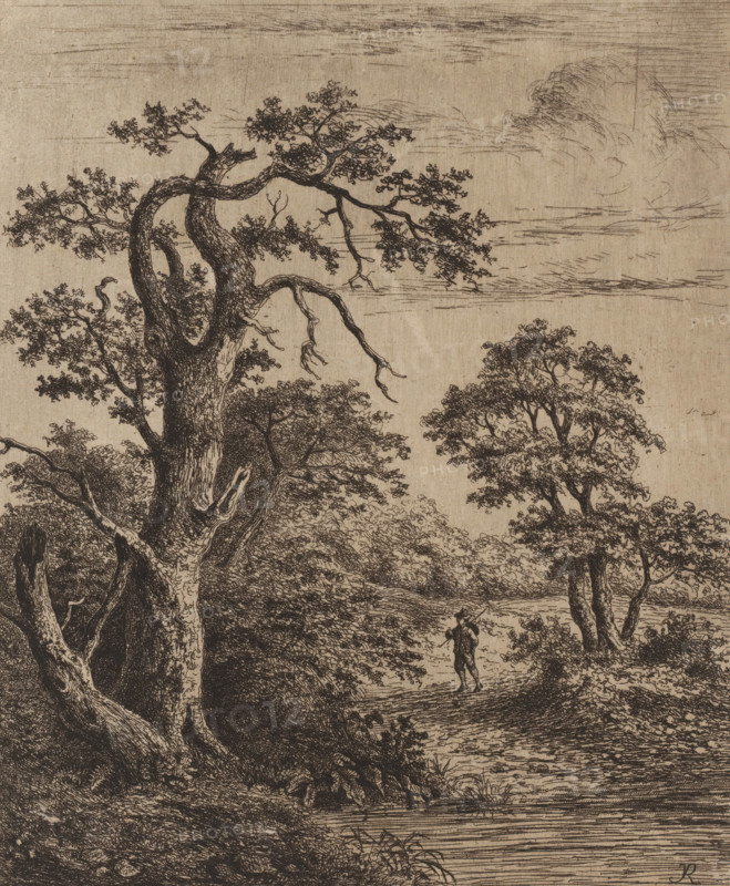 Landscape with walker near water, print, printmaker: Jean Théodore Joseph Linnig, after drawing by Jacob Salomonsz. van Ruysdael, 1879, paper, etching, roulette, intaglio printmaking technique, etching and roulette with plate tone, height 248 mm x width 201 mm, landscapes in the temperate zone, A detailed monochrome ink landscape showing large, gnarled trees with textured bark and dense foliage in the foreground and middle ground, twisted branches stretching outward and some bare twigs depicted, a winding path or clearing beneath the trees, a small solitary figure standing on the path holding something over a shoulder, clusters of low shrubs and grasses along the ground, a body of water or a reflective surface at the bottom with horizontal line work, layered distant trees and undergrowth receding into the background, and a sky sketched with wispy cloud formations.