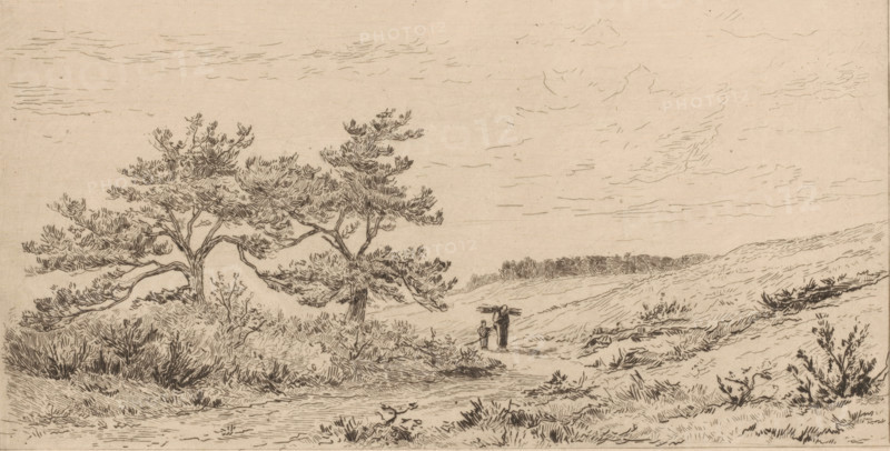 Les bruyères à Wort-Rheden (original title), Heath landscape near Worth-Rheden, print, In the middle, two figures walk along a path on the heath., printmaker: Carel Nicolaas Storm van 's-Gravesande, c. 1880, Carel Nicolaas Storm van 's-Gravesande, paper, etching, intaglio printmaking technique, height 149 mm x width 255 mm, meadow, pasture (landscape with figures, staffage), Worth-Rheden, A wide, lightly shaded landscape drawing with a sandy or beige background, featuring low rolling dunes and sparse vegetation. In the left foreground there are two tall, spreading pine trees with textured foliage and gnarled trunks, surrounded by clumps of grasses and low shrubs. The central ground shows a narrow, winding path leading toward the middle distance where two small human figures stand, one taller figure carrying something over a shoulder and a shorter figure beside them. The right side of the scene continues with grassy dunes and scattered bushes, and a distant line of darker, low trees sit...