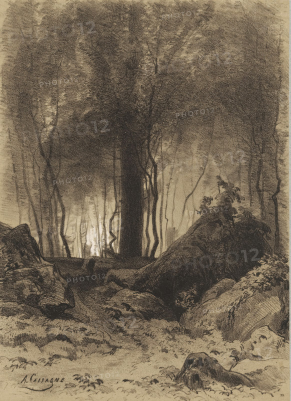 Forest scene with boulders, Landscapes with villages and forest, Le village et les bois, print, Series number, 29, stamp: 'Ch. Fouraut & Fils, éditeurs, Rue St. André des Arts, no. 47, Paris.', printmaker: Armand Théophile Cassagne, Paris, publisher: Fouraut & fils, Ch., 1872, paper, tone lithography, height 442 mm x width 315 mm, forest, wood, rocks, A dense forest scene rendered in dark charcoal tones with tall, slender tree trunks rising from a shadowed foreground; the canopy forms a textured mass of foliage that fills the upper portion of the image while lighter areas behind the trunks create a sense of depth; rocks and uneven ground occupy the foreground, with a prominent rounded boulder and scattered smaller stones; thin, winding saplings and thin branches are visible among the larger trunks, and patches of low vegetation and ferns grow on the sloping rocky surfaces; the overall mood is dim and heavily shaded, with contrast between the dark trees and the paler light filtering thr...