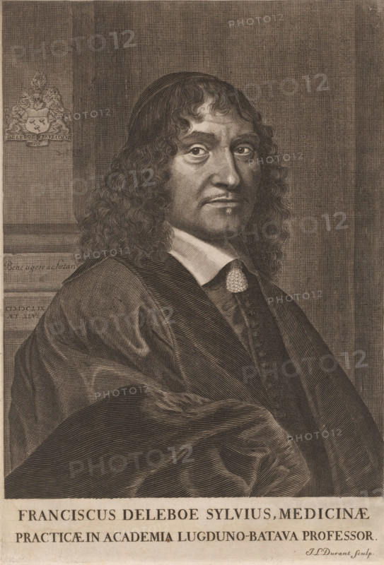 Franciscus Deleboe Sylvius, medicinae, Portrait of Franciscus de le Boë Sylvius at the age of 45, print, book illustration, printmaker: Jacques Louis Durant, France, publisher: Samuelem de Tournes, Geneva, 1659, paper, engraving, intaglio printmaking technique, height 286 mm x width 195 mm, A sepia-toned engraved portrait of a man shown from the torso up, turned slightly to his right while facing the viewer, with long wavy hair falling to his shoulders and a small mustache and pointed beard; he wears a dark voluminous cloak with visible flowing folds over a buttoned garment and a white collar with a decorative circular ornament at the throat; the background features a textured wall and a vertical architectural element at the left with a carved emblem above a ledge; the lower edge of the image contains a wide blank band.
