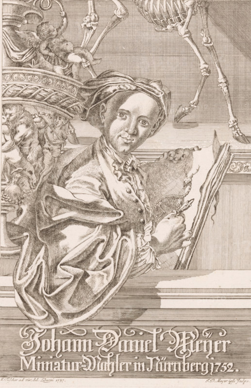 Portrait of Johann Daniel Meyer, print, printmaker: Johann Daniel Meyer, after drawing by Carl Marcus Tuscher, 1737 - 1752, paper, etching, height 310 mm x width 215 mm, Person, portrait, self-portrait of artist, drawing, A seated figure wearing a draped garment and a head covering looks toward the viewer while holding an open book or sketchbook; the figure's hand holds a small instrument or brush near a detailed drawing on the page. To the left of the figure an ornate sculpted column with carved figures and a small winged cherub is visible. Above and to the right several skeletal bones and a partial ribcage extend into the scene. The composition is rendered in fine line work with crosshatching and intricate textures across the fabric, carved elements, and the open pages.