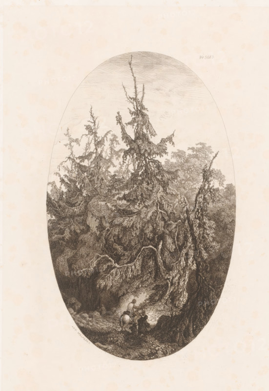 Forest landscape with travelers, Vosges, print, printmaker: Charles André Malardot, France, publisher: Gaspard Albert Hauser, Paris, 1827 - 1879, paper, chine collé, etching, engraving, roulette, intaglio printmaking technique, roulette and plate tone on chine collé, height 314 mm x width 210 mm, forest, wood, 'en route', traveller under way, An oval-shaped detailed engraving of a dense forest scene fills the center of a pale background, with tall, gnarled trees whose twisted trunks and drooping, textured branches dominate the composition, creating layered foliage and shadowed undergrowth; at the lower foreground a small group of figures on horseback move along a narrow, rocky path beneath the overhanging roots and boughs, and the ground is strewn with stones and low vegetation, while the sky above the treetops is lightly hatched.