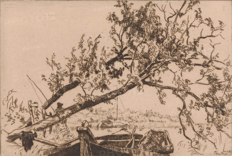 Slanted tree and Eudia (original title), Landscape with fallen tree, boats and angler, print, printmaker: Willem Bastiaan Tholen (signed by artist), 1905, paper, etching, intaglio printmaking technique, height 162 mm x width 240 mm, sailing-ship, sailing-boat, fisherman, A horizontal sketch in sepia tones shows a riverside scene with a large tree leaning over the water, its thick trunk and many branches covered with clusters of leaves drawn in fine, curved strokes; a slender branch extends diagonally across the composition with textured bark. In the lower foreground, the bows of two small wooden boats are visible, one containing a woven basket and the other positioned beside a simple wooden post and plank structure. Grassy banks with tufts and reeds sit behind the boats, and a small, distant shoreline with a faint vertical pole rises from the water. The sky area above the tree is mostly empty, rendered in the same warm paper tone.