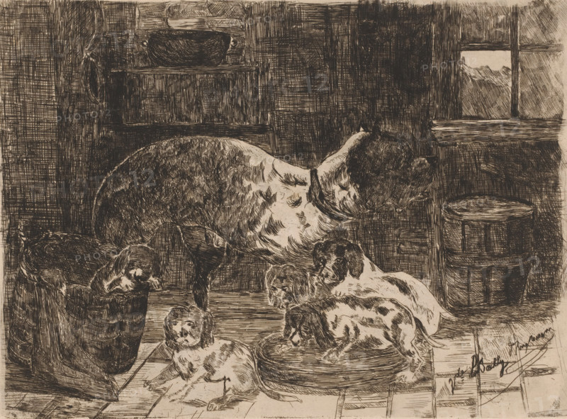 Dog with a litter of cubs, print, printmaker: Vicomte Arthur-Jean Le Bailly d'Inghuem, 1850 - 1899, Vicomte Arthur-Jean Le Bailly d'Inghuem, paper, etching, intaglio printmaking technique, etching with plate tone, height 240 mm x width 318 mm, dog, interior of the house, A sepia-toned ink drawing of a domestic interior showing several dogs of varying sizes and markings arranged on a tiled floor and on simple furnishings; a large dog stands centrally with a collar, while smaller puppies lie, sit, and climb on a round cushion and into a soft basket nearby, their fur rendered with short hatch marks and spots. In the background there are wooden shelves and panelling, a basin resting on a high shelf, a window with crossbars showing a distant landscape, and a cylindrical wooden tub positioned near the wall. The room is depicted with dense crosshatching for shadows and texture, visible floorboards beneath the animals, and loosely sketched curtains and household objects around the perimeter.