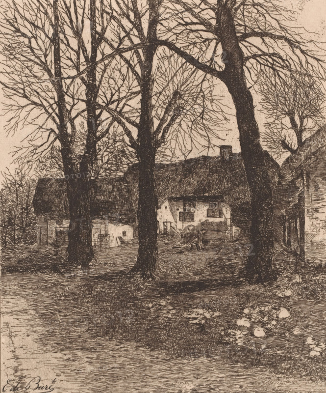 Farmhouse with three trees, print, printmaker: Emile de Baré, 1865 - 1902, paper, etching, intaglio printmaking technique, etching with plate tone, height 264 mm x width 223 mm, farm or solitary house in landscape, trees, A detailed monochrome drawing shows bare deciduous trees with dark textured trunks and a tangle of thin branches against a lighter background, standing in front of rustic thatched-roof buildings with visible windows and small architectural details, a yard area with scattered wooden elements and a cart, uneven ground with grassy and rocky patches, and a body of water or wet ground in the foreground reflecting fine linear etching marks.