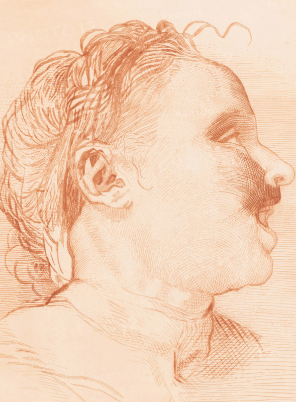 Smiling woman looking diagonally upwards, print, annotation: '1st Etat', printmaker: Herman Boulenger (signed by artist), c. 1880 - in or before 1909, paper, etching, intaglio printmaking technique, height 292 mm x width 249 mm, Date of death of artist unknown. Therefore, the date of acquisition has been used to determine the rights to this object., laughing, A close-up line drawing of a person's head in profile facing right, rendered in reddish-brown ink on a pale background, showing detailed hair pulled back with loose strands, a visible ear with inner folds, a smooth forehead and eyebrow, a partially closed eye with eyelashes, a prominent nose and rounded cheek, a defined upper lip and chin, and a neck with contour lines and shaded crosshatching.