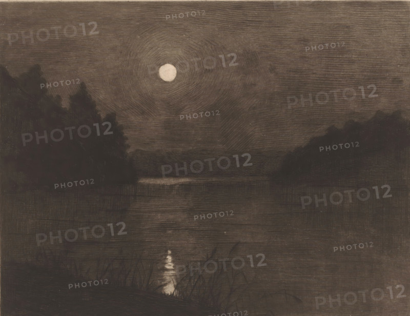 Moonlight on a lake surrounded by trees, print, printmaker: Herman Boulenger (signed by artist), 1893, paper, etching, drypoint, intaglio printmaking technique, height 217 mm x width 268 mm, Date of death of artist unknown. Therefore, the date of creation has been used to determine the rights to this object., lake, moonlight, A dark landscape viewed at night with a bright circular moon high in a textured sky, concentric lines radiating from it; silhouettes of dense tree-covered hills on left and right framing a calm reflective body of water in the middle that shows a narrow vertical reflection of the moon; foreground shows darker shoreline grasses and reeds with a small bright patch where the moonlight hits the water.