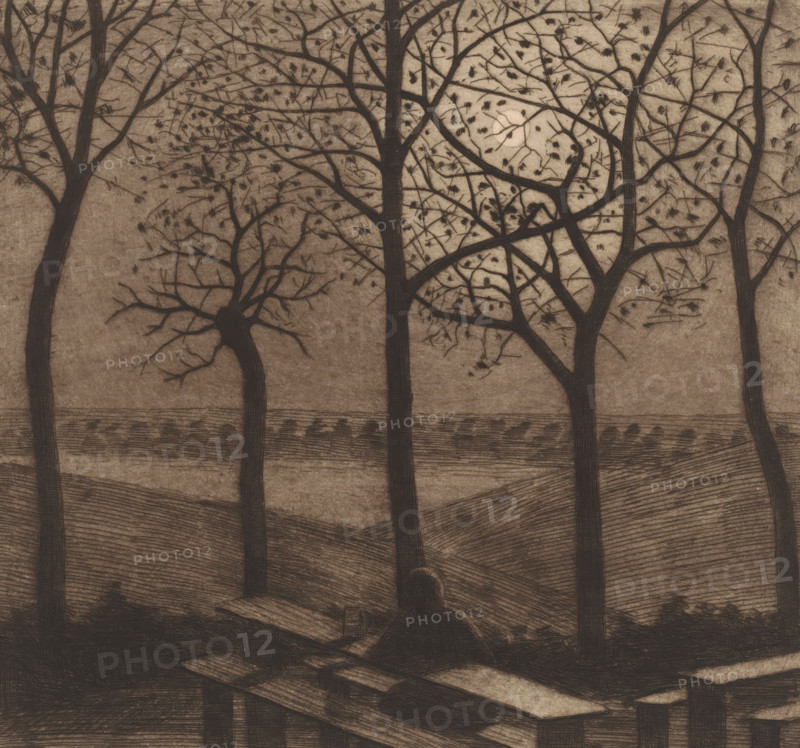 Figure at a picnic table in a moonlit landscape with bare trees, print, annotation: '10th Etat', printmaker: Herman Boulenger (signed by artist), 1893-06, paper, etching, drypoint, intaglio printmaking technique, height 266 mm x width 285 mm, Date of artist's death unknown. Therefore, the date of manufacture and acquisition has been used to determine the rights to this object., moonlight, resting - BB - out of doors, A monochromatic scene showing tall bare trees with dark trunks and a network of thin branches against a textured background, a pale circular shape partially obscured by branches, scattered small dark leaves clinging to twigs, layered horizontal lines suggesting patterned ground or fields, darker shaded areas forming mounds and uneven terrain, and a darker foreground with angular shapes and planks that resemble broken or stacked boards.