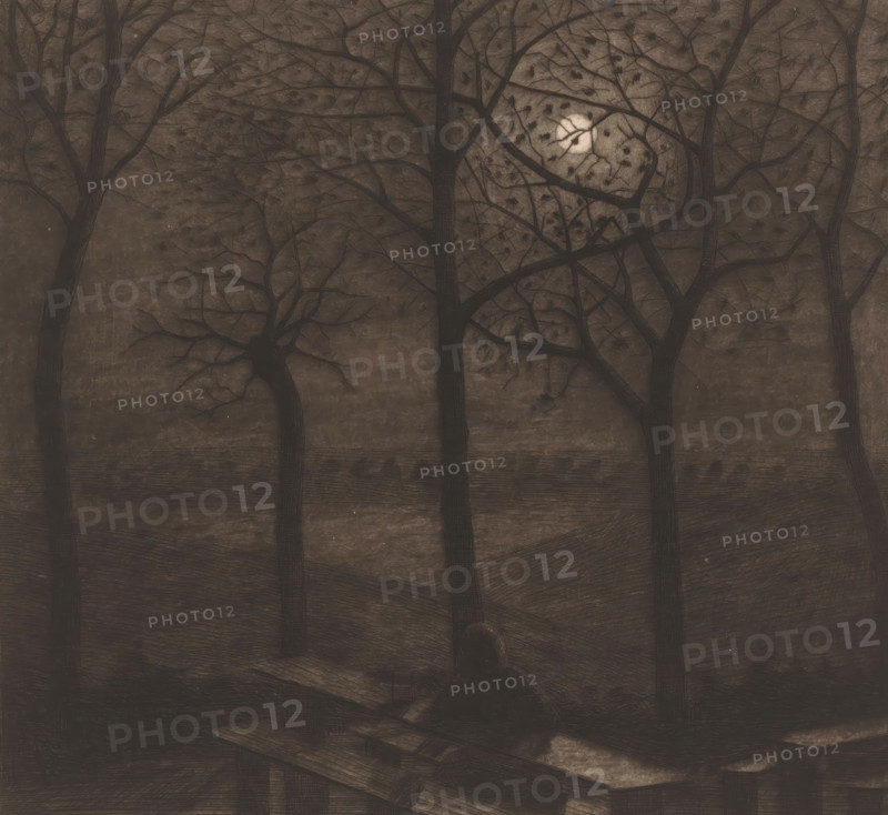 Figure at a picnic table in a moonlit landscape with bare trees, print, printmaker: Herman Boulenger (signed by artist), 1893-06, paper, etching, drypoint, intaglio printmaking technique, height 267 mm x width 288 mm, moonlight, resting, A dim scene of tall dark tree trunks and bare branching limbs filling the frame with a pale circular light behind the branches, a textured ground with sloping areas and horizontal lines, and a dark indistinct shape near the bottom center partially surrounded by scattered planks and angular wood pieces.