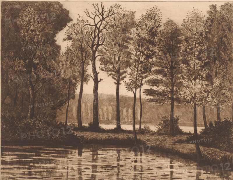 Lake surrounded by trees, print, printmaker: Herman Boulenger (signed by artist), 1893, paper, etching, drypoint, intaglio printmaking technique, height 249 mm x width 334 mm, lake, A sepia-toned etching of a wooded riverside scene showing tall, slender tree trunks rising from a grassy bank, some with leafy canopies and some bare-branched, arranged across the middle ground against a lighter background suggesting distant foliage, with dense, darker clusters of trees framing the left and right edges; the foreground includes a reflective body of water with horizontal and vertical etched marks indicating ripples and reflections of the trunks, and low shrubbery and grasses along the shoreline.