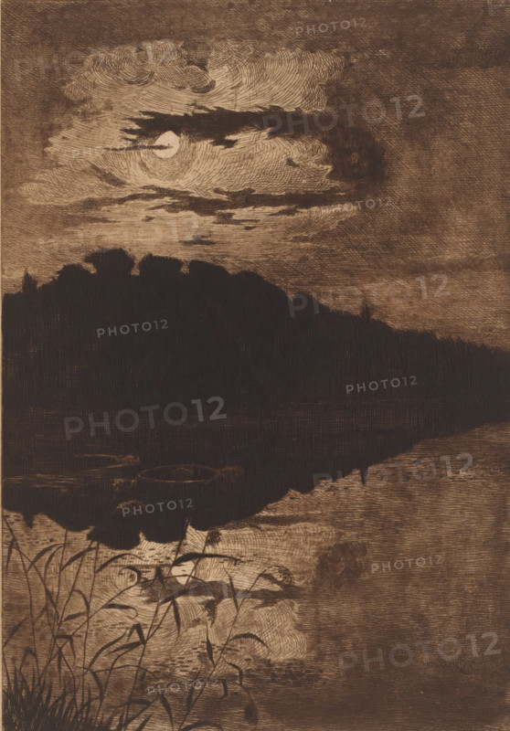 Water by moonlight, print, Reflection of the landscape in the water by moonlight. Two swans are swimming in the water., inscription: '5 l'eau vu le soir', inscription: '3eme Etat definitif', printmaker: Omer Coppens (signed by artist), 1874 - 1909, Omer Coppens, printmaker, paper, etching, intaglio printmaking technique, drypoint, aquatint, plate tone, drypoint and aquatint, height 329 mm x width 270 mm, lake, water-birds: swan, moonlight, A dark silhouetted treeline fills the middle of the scene, reflected in a calm body of water below; above it a bright circular moon is partially obscured by swirling, textured clouds with layered, curved linework; in the foreground tall, slender reeds and grasses grow along a shoreline with visible stems and leaves, and a small round boat rests near the water's edge; the overall image is rendered in a sepia-toned, etched style with crosshatched shading throughout.