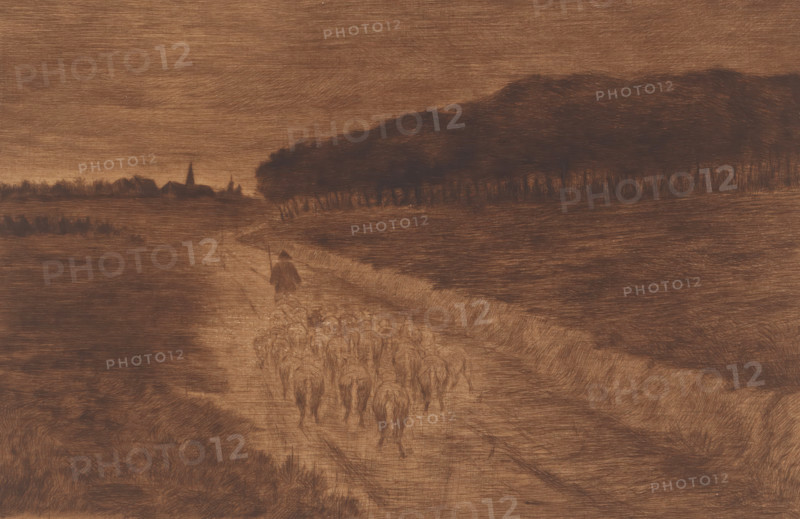 Flock of sheep with shepherd on a heath road, print, annotation: '2eme etat, deux epreuves', printmaker: Pol Craps (signed by artist), 1896, paper, etching, drypoint, intaglio printmaking technique, etching and drypoint with plate tone, printed in brown, height 236 mm x width 329 mm, herd, flock, A wide landscape drawn in brown tones shows a dirt path winding from the foreground toward the horizon, flanked by grassy fields and a dense line of trees on the right, with a small cluster of buildings and a pointed steeple visible in the distance on the left; a lone figure wearing a cloak walks along the path ahead of a group of smaller figures or animals that fill the road behind, and the sky above is filled with fine, horizontal shading.