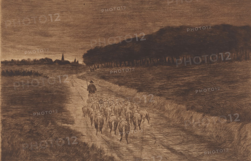 Flock of sheep with shepherd on a heath path, print, annotation: '3eme etat, 3 epreuves de cet etat', printmaker: Pol Craps (signed by artist), 1896, paper, etching, drypoint, intaglio printmaking technique, height 236 mm x width 329 mm, herd, flock, A sepia-toned landscape showing a dirt path leading toward a distant village with clustered buildings and a pointed steeple, a shepherd wearing a cloak and triangular hat walking ahead of a flock of sheep that fill the path with their rounded backs and tails, low-lying grassy fields flanking the road, a dark dense stand of trees forming a horizontal mass to the right, a horizon band of low vegetation and structures on the left, and a sky rendered with horizontal hatch-like strokes.