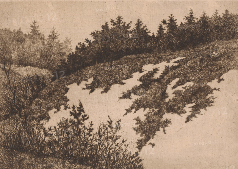 View of a sand quarry near Uccle, Vue d'apres nature a Uccle, print, annotation: '1er etat, deuz epreuves de cet etat', printmaker: Pol Craps (signed by artist), 1897, Pol Craps, printmaker, paper, etching, drypoint, intaglio printmaking technique, height 237 mm x width 329 mm, cultivated land, Uccle, A sepia-toned landscape drawing showing a sloping hillside covered in dense, fine-line foliage and grasses, with clusters of darker trees along the ridge and lighter, more delicate shrubs toward the background; the foreground features detailed tufts of grass and leafy plants, while irregular pale patches break the vegetation across the slope, and the sky above is left mostly empty.