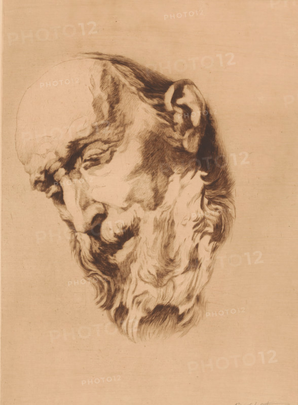 Head of a bearded old man looking down, print, annotation: '1er état, deux epreuves', printmaker: Auguste Danse (signed by artist), after design by Jacques Jordaens, 1895, paper, etching, drypoint, intaglio printmaking technique, etching and drypoint with plate tone, proof, height 364 mm x width 270 mm, old man, A monochrome sketch of an elderly man's head viewed in profile with his face turned downward, showing a high forehead, a prominent nose, closed eyes, and a long flowing beard and mustache rendered with fine, textured lines, with darker shading around the ear and hairline and lighter, more delicate strokes across the scalp, all set against a plain, unadorned background.