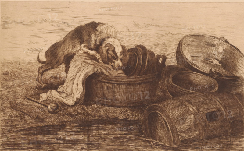 Dog in a washing up bowl at the edge of the water, print, annotation: 'd'apres Rubens, 1er état', printmaker: Auguste Danse (signed by artist), after design by Peter Paul Rubens, 1889, Auguste Danse, Peter Paul Rubens, printmaker, after design by, paper, etching, drypoint, intaglio printmaking technique, height 236 mm x width 317 mm, dog, A monochrome etching showing a dog with a spotted face leaning over a wooden tub filled with cloth, surrounded by several large overturned wooden buckets and bowls, a ladle and a broken handle lying on the ground, all set on a textured surface with linear shading suggesting grass and sky.