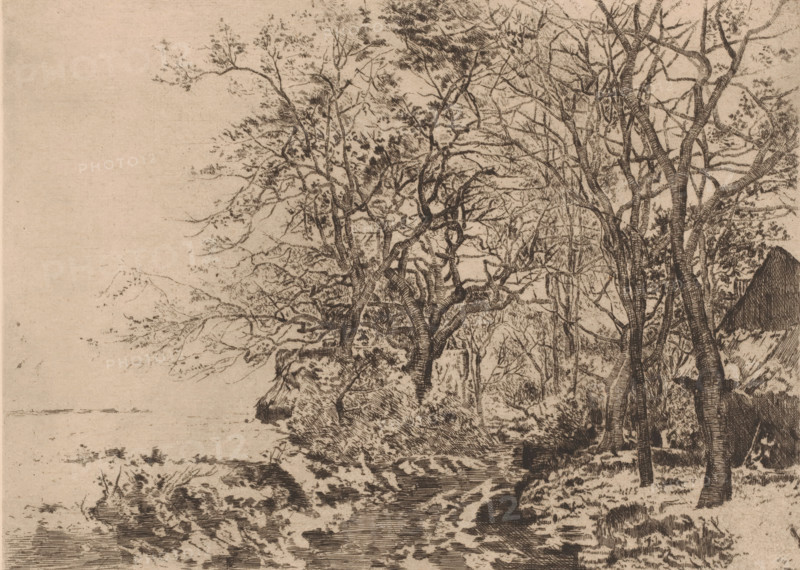 Snowy landscape with a barn at the edge of the forest, print, annotation: '1er etat', printmaker: Auguste Danse (signed by artist), 1883, paper, etching, drypoint, intaglio printmaking technique, height 241 mm x width 311 mm, farm or solitary house in landscape, A detailed ink drawing of a riverside with many leafed and bare-branched trees clustered along the bank, their trunks and branches rendered with fine cross-hatching; a steep rocky shoreline descends to a calm water surface with reflections and subtle ripples; vegetation and undergrowth appear among the rocks and at the water's edge; in the background a sloped, roofed structure is partially visible behind the trees; the overall image has a textured, monochrome appearance on a light paper tone.