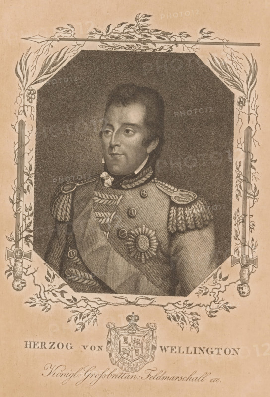 Portrait of Arthur Wellesley of Wellington, print, printmaker: Gottfried Arnold Lehman, after painting by Robert Home, publisher: M. Levy, Berlin, 1780 - 1869, paper, stippelwerk, crayon manner, height 274 mm x width 205 mm, Person, Arthur Wellesley of Wellington, historical persons, armorial bearing, heraldry, A sepia-toned engraved portrait shows a man in a decorated military uniform framed by an ornate border of leaves, vines, and crossed swords. The man faces slightly to his left with short hair and a composed expression, wearing epaulettes with braided fringe, a high collar with a knot, a sash across his chest, and multiple medals and rosettes pinned to his coat. The rectangular portrait area has an octagonal inner edge filled with fine crosshatching, and decorative botanical elements extend into the surrounding margin along with vertical sword motifs ending in ornamental hilts. Below the portrait a heraldic shield topped by a crown is flanked by scrollwork and foliage.