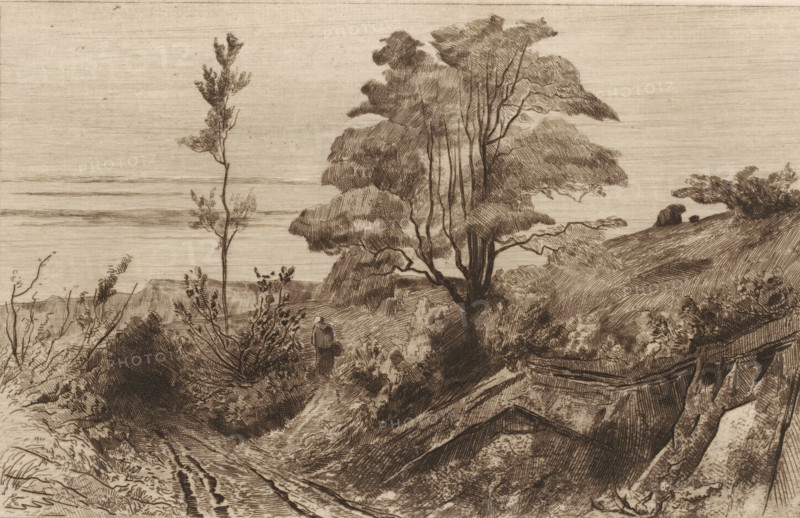 Souvenir de Moulins-Warnaut (original title), Country road near Warnant, print, Country road in a hilly landscape with trees. In the middle walks a figure with a basket., printmaker: Carel Nicolaas Storm van 's-Gravesande, c. 1872, Carel Nicolaas Storm van 's-Gravesande, paper, etching, intaglio printmaking technique, aquatint, height 170 mm x width 266 mm, road, path, low hill country (landscape with figures, staffage), Warnant, A monochrome etching of a coastal landscape showing a narrow dirt path winding between shrubs and grassy slopes toward the water, with a solitary figure standing on the path facing away and surrounded by foliage. Tall, slender trees with leafy canopies rise on a hillside to the right of the path, their trunks and branches drawn with fine crosshatching. The shore and distant horizon are visible in the background as flat, horizontal bands. In the foreground to the right, overlapping wooden planks or boat hulls lie among the grass and brush, and bushes and low pl...