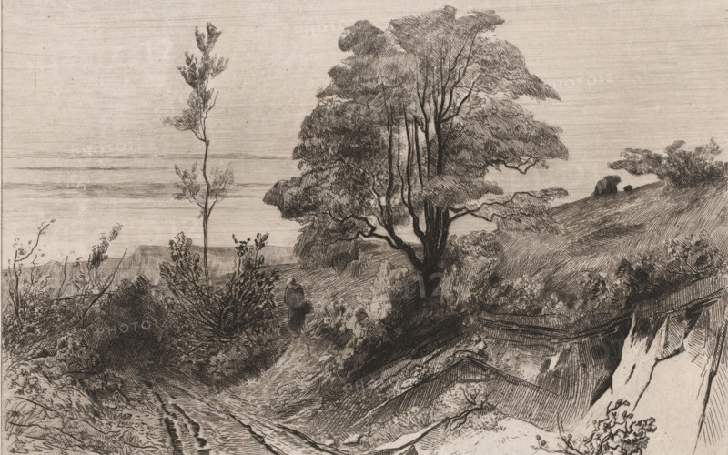 Country road near Warnant, Souvenir de Moulins-Warnaut (original title), print, Country road in a hilly landscape with trees. A figure with a basket walks in the middle., inscription: 'a moulins warnants près d'yvoir', printmaker: Carel Nicolaas Storm van 's-Gravesande, c. 1872, Carel Nicolaas Storm van 's-Gravesande, printmaker, paper, chine collé, etching, intaglio printmaking technique, height 171 mm x width 268 mm, road, path, low hill country (landscape with figures, staffage), Warnant, A monochrome etching shows a hillside landscape with a winding dirt path leading toward a large tree with multiple trunks and dense foliage, surrounded by smaller trees and shrubs. A solitary cloaked figure stands on the path near the tree, holding something by their side. The foreground contains textured ground, low vegetation, and wooden planks or fencing partially visible along a slope. In the distance the horizon is flat and horizontal, with faint horizontal lines suggesting a calm expanse beyo...