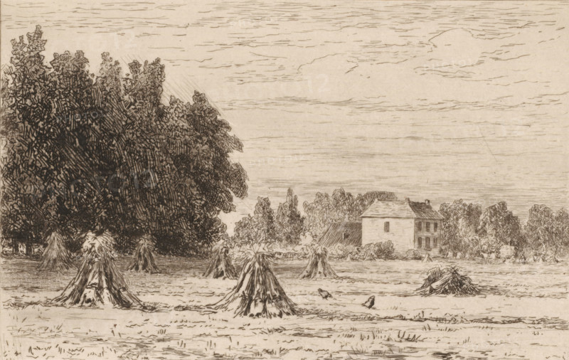 Landscape with sheaves of corn, Le chateau de Noord-Denringen (this Count's House) (original title), Souvenir du Hâvre (original series title), print, In the background stands a horse-drawn carriage next to a house., title: 'chateau de ...deurningen', printmaker: Carel Nicolaas Storm van 's-Gravesande, 1851 - 1910, Carel Nicolaas Storm van 's-Gravesande, printmaker, paper, etching, intaglio printmaking technique, height 128 mm x width 190 mm, hay-stack, cultivated land, Noord Deurningen, A wide landscape drawn in sepia tones shows a field with conical sheaves of harvested stalks scattered across the foreground and midground, a few birds on the ground near one sheaf, a dense stand of large trees occupying the left side and middle background with detailed foliage, and a two-story house with a pitched roof and shuttered windows set among smaller trees and shrubs toward the right background; the sky above is lightly sketched with horizontal cloud lines.