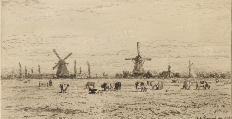 Polder near Weesp, Un polder près de Weesp (original title), print, View of a meadow with cows. Two windmills on the horizon., printmaker: Carel Nicolaas Storm van 's-Gravesande, after design by Carel Nicolaas Storm van 's-Gravesande, c. 1873, Carel Nicolaas Storm van 's-Gravesande, printmaker, paper, etching, intaglio printmaking technique, height 126 mm x width 230 mm, polder, reclaimed land, windmill in landscape, cow, Weesp, A wide pastoral scene rendered in fine linework shows a flat field with grazing cows scattered across the foreground and middle ground, some standing and some lying down, with small tufts of grass and shallow water at the near edge. Along the horizon there are low buildings and clusters of trees, and two prominent windmills with tall sails rising above the rooftops. To the right of the windmills a sailboat with a tall mast is visible near the shoreline. The sky occupies much of the upper area, filled with light, horizontal, sketchy cloud strokes.