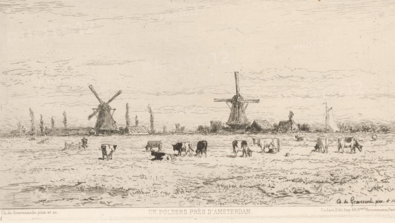 A polder near Amsterdam (original title on object), print, View of a meadow with cows. Two windmills on the horizon., number: '288.', printmaker: Carel Nicolaas Storm van 's-Gravesande, after design by Carel Nicolaas Storm van 's-Gravesande, printer (person): Alfred Cadart, Paris, c. 1873, Carel Nicolaas Storm van 's-Gravesande, Alfred Cadart, printmaker, printer (person), publisher, paper, etching, intaglio printmaking technique, letterpress printing, etching with plate tone and text in letterpress, height 126 mm x width 232 mm, polder, reclaimed land, windmill in landscape, cow, Weesp, A wide, lightly sketched landscape shows flat grassy fields with patches of water in the foreground and a group of grazing and resting cows scattered across the middle ground; behind them are low buildings and two tall windmills with visible sails, one on the left with crossed sails and one nearer the center with a vertical post and horizontal arms, flanked by slender trees and hedgerows. The sky is fi...