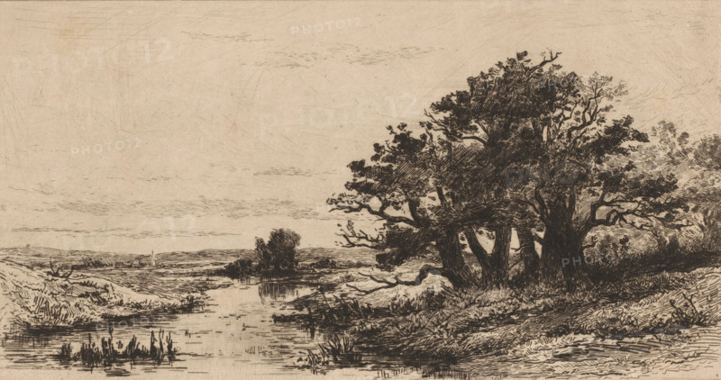 Landscape with oak trees near Wolfheze, Vieux chênes à Wolfhezen (original title), Sketches of Holland (original series title), print, printmaker: Carel Nicolaas Storm van 's-Gravesande, c. 1880, Carel Nicolaas Storm van 's-Gravesande, paper, etching, intaglio printmaking technique, height 170 mm x width 280 mm, landscapes in the temperate zone, trees: oak, Wolfheze, A sepia-toned landscape etching showing a calm river or stream flowing from the foreground toward the middle distance, with reeds and low vegetation along its banks. On the right bank a cluster of large, leafy trees with dark, heavily hatched trunks and branches rises above the water, their foliage rendered with dense cross-hatching and textured lines. The left bank is lower and more open, with low grasses and distant fields stretching toward a flat horizon. Fine, short strokes suggest clouds and subtle sky texture above the scene, and reflected lines in the water mirror the vegetation and reeds along the edges. The overal...