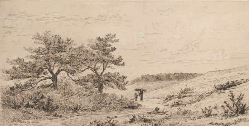 The Heather at Worth-Rheden (original title), Heathland landscape near Worth-Rheden, print, In the middle, two figures walk along a path on the heath., printmaker: Carel Nicolaas Storm van 's-Gravesande, c. 1880, Carel Nicolaas Storm van 's-Gravesande, paper, etching, intaglio printmaking technique, height 148 mm x width 256 mm, meadow, pasture (landscape with figures, staffage), Worth-Rheden, A monochrome sketch of a windswept landscape showing two trees with spreading, textured branches and dense foliage on the left, low shrubs and grasses across the sandy ground, and a gently rolling dune area extending to the right. A small figure stands on a path near the center, accompanied by a smaller figure, both rendered with simple lines. The sky is lightly hatched with thin, horizontal strokes, and distant vegetation forms a darker horizontal band along the horizon. The foreground shows detailed cross-hatching and short, directional lines indicating texture in the soil and plants.