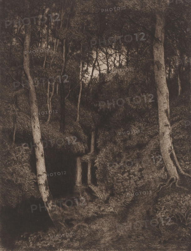 Birch forest with waterfall, print, printmaker: Alfred Elsen, 1860 - 1910, paper, chine collé, etching, intaglio printmaking technique, etching with plate tone on chine collé, height 370 mm x width 297 mm, landscapes in the temperate zone, trees: birch, waterfall, A densely shaded forest scene with tall, slender trees rising from a dark, textured undergrowth, two prominent pale tree trunks framing the foreground on either side, a narrow path leading inward toward a small, rectangular waterfall cascading into a shadowed pool, thick foliage and tangled branches filling the mid and background, and a lighter patch of sky visible through the canopy near the center.