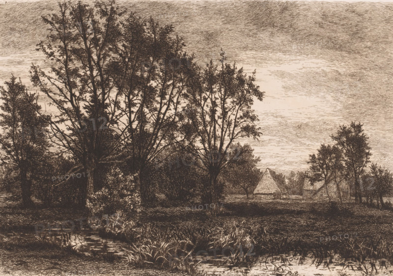 Landscape with four willows and a brook, print, inscription: '3e Etat', printmaker: Alfred Elsen, 1881, paper, etching, intaglio printmaking technique, etching with plate tone, height 234 mm x width 330 mm, farm or solitary house in landscape, brook, trees: willow, A sepia-toned landscape drawing showing tall, slender trees with intricate branches and foliage in the foreground and middle ground, a reflective waterway bordered by reeds and grasses at the bottom, a cluster of thatched-roof huts partially visible among trees toward the right, dense undergrowth and shrubs beneath the tree canopies, and a textured sky with horizontal, wavy linework filling the upper area.