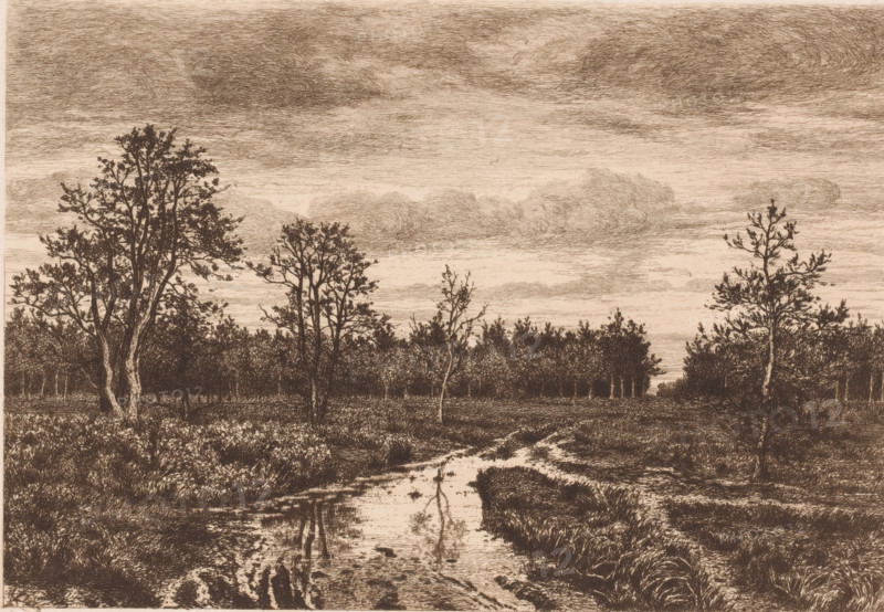 Swamp landscape at twilight, print, mark: 'Antwerpsche Etsers 1880', printmaker: Alfred Elsen, 1860 - 1910, paper, etching, intaglio printmaking technique, etching with plate tone, height 200 mm x width 2800 mm, swamp, inland marsh, fens, A monochrome landscape etching showing a flat foreground with grassy and marshy patches leading to a narrow reflective stream that winds toward the background, flanked by low vegetation and taller grasses. Silhouetted trees of varying shapes and heights stand on either side of the stream, some with dense foliage and others with sparse branches, forming a darker band of trees in the middle ground. The sky above is filled with layered, textured clouds rendered with fine linear strokes, creating a sense of horizontal movement across the upper portion of the image. The overall palette is sepia-toned, and the image is composed with a wide horizontal format emphasizing the expanse of sky and the linear arrangement of trees and water.