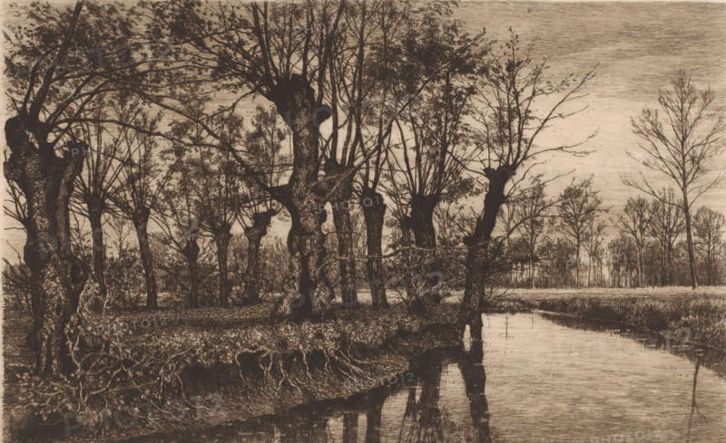 Willows along the bank of a brook, print, mark: 'Antwerpsche Etsers 1880', printmaker: Alfred Elsen, 1885, paper, etching, intaglio printmaking technique, etching with plate tone, height 239 mm x width 360 mm, landscapes, brook, trees: willow, A sepia-toned scene of a wooded riverside with numerous leafed and partially bare trees of varying trunk shapes lining a grassy bank, their branches extending across the sky and reflecting in the calm water below, with exposed roots and undergrowth at the foreground edge and a distant treeline visible across the river.