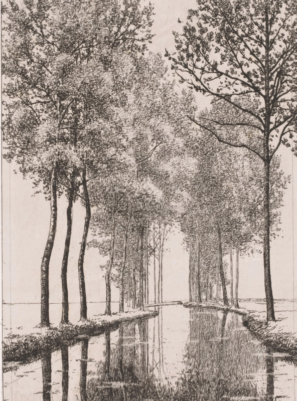 Landscape with river, print, inscription: '1e Etat', printmaker: Alfred Elsen (signed by artist), 1860 - 1910, paper, chine collé, etching, etching on chine collé, height 270 mm x width 198 mm, river, A monochrome drawing of a tree-lined canal with tall, slender trunks rising from grassy banks and branches forming a dense canopy, the water reflecting the trees and banks in vertical rippled lines, narrow paths along each side of the canal edged with low vegetation, clusters of fine foliage rendered with short, textured strokes, and distant trees fading into the background beneath an open, light sky.