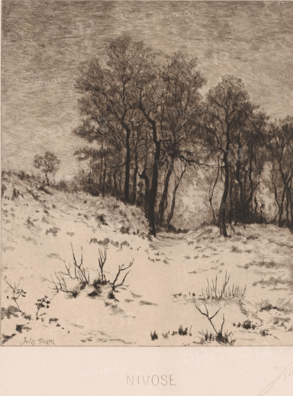 Winter landscape, Nivose, print, printmaker: Jules Guiette (signed by artist), 1862 - 1901, paper, etching, intaglio printmaking technique, height 316 mm x width 237 mm, landscape symbolizing winter (the four seasons of the year), A monochrome etching shows a snowy landscape with a foreground of sparse grasses and low shrubs poking through the snow, their dark stems and tufts rendered with fine, sketchy lines. The middle ground slopes upward to a rough, uneven terrain marked by scattered tufts and small depressions, leading to a stand of tall, leafless trees whose dark trunks and tangled branches form a dense, intricate mass against a softly textured sky. The trees vary in thickness and height, some leaning and interlacing their limbs, creating shadowed areas at their bases, while a solitary smaller tree stands apart on the distant slope. The sky above is filled with closely hatched strokes that give a grainy, overcast appearance, and the entire scene is depicted in delicate contrasts ...