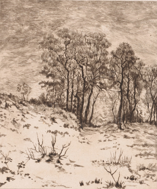 Winter landscape, Nivose, print, annotation: '1', printmaker: Jules Guiette, 1862 - 1901, paper, etching, intaglio printmaking technique, height 316 mm x width 237 mm, landscape symbolizing winter (the four seasons of the year), A monochrome etching of a winter landscape showing leafless trees with intricate branching and textured bark clustered along a gently sloping ground, sparse low grasses and small bare shrubs scattered across a snow-dusted foreground, and a sky filled with fine, horizontal hatch marks suggesting clouded or streaked atmosphere.