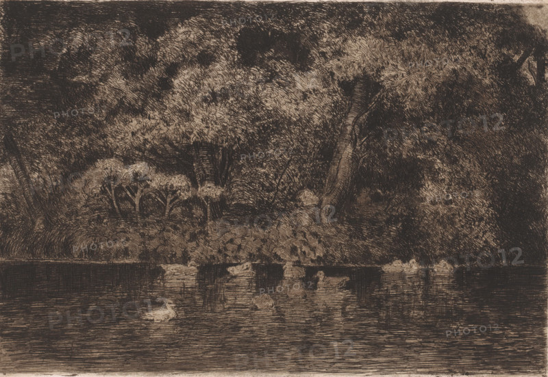 Pond with ducks, print, annotation: 'Epreuve teintée morture (?)', printmaker: Jules Guiette, 1862 - 1901, paper, etching, drypoint, intaglio printmaking technique, height 213 mm x width 314 mm, water birds: duck, garden pond, A monochrome etching depicting a densely foliaged shoreline with large trees and shrubs, their textured leaves and trunks rendered in fine crosshatching, a gently sloping bank leading down to a calm body of water, and a group of waterfowl floating on the surface with reflections visible in the rippled water.