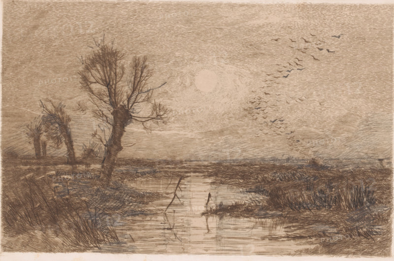 Swamp with four willows, print, annotation: '1er Etat', printmaker: Jules Guiette, 1862 - 1901, paper, pencil, etching, intaglio printmaking technique, drawing, etching with plate tone, worked with pencil, proof print, height 170 mm x width 259 mm, swamp, inland marsh, fens, trees: willow, A sepia-toned landscape sketch showing a marshy scene with a meandering water channel reflecting the sky, leafless gnarled trees along the banks, tall grasses and reeds at the water’s edge, a cluster of trees in the midground, a low horizon, a pale circular sun high in the sky, and a flock of birds flying in a loose formation across the right side of the sky.