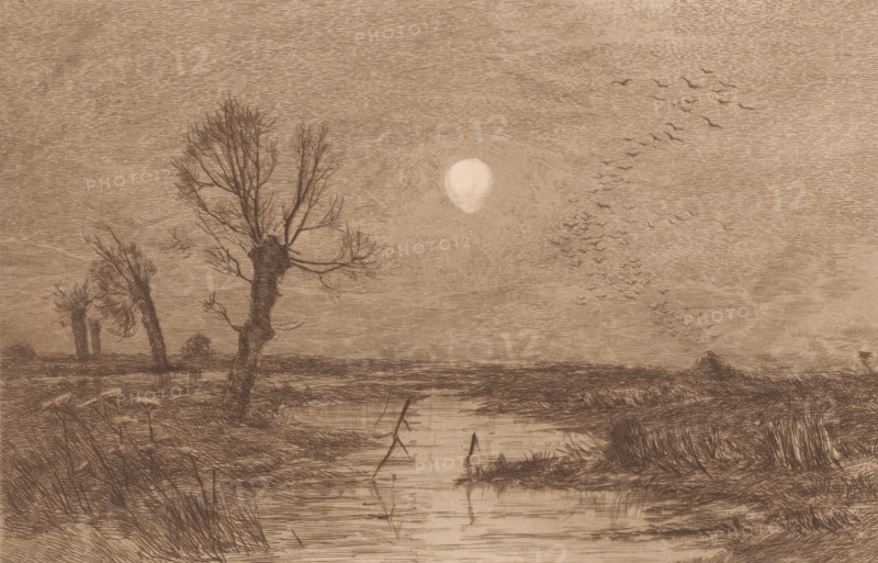 Swamp with four willows, print, annotation: 'Le marais avec les quatre saules, 1er Etat', printmaker: Jules Guiette, 1862 - 1901, paper, etching, intaglio printmaking technique, height 170 mm x width 259 mm, swamp, inland marsh, fens, trees: willow, A sepia-toned landscape sketch showing a flat marsh with a narrow waterway in the foreground reflecting faint lines and broken sticks, flanked by clumps of grasses and reeds. Three pollarded trees with bare, wiry branches stand on the left bank, the nearest tree leaning slightly and showing a textured trunk, while two distant stubbier trees appear further back toward the horizon. A bright circular light source sits low in the sky near the center, surrounded by radiating shading. A flock of small birds is depicted in flight toward the right, forming scattered, dark silhouettes against the sky. The distant horizon shows low, textured land and a small moundy rise on the right, and the entire scene is rendered with fine, linear hatching and cro...
