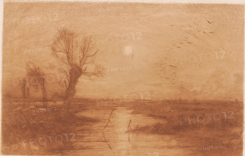 Swamp with four willows, print, annotation: '2nd State', printmaker: Jules Guiette, 1862 - 1901, paper, etching, intaglio printmaking technique, print in brown, etching printed in light brown, with plate tone, height 170 mm x width 261 mm, swamp, inland marsh, fens, trees: willow, A horizontal scene rendered in warm sepia tones shows a flat landscape with bare, knotted trees along a watery channel; foreground grasses and low marsh vegetation frame the water that reflects faint vertical sticks, and the central tree has a thick gnarled trunk with thin branching twigs reaching upward. The sky above is textured with fine horizontal strokes and features a pale circular glow near the middle, while a scattered flock of small silhouetted birds arcs across the right side of the sky. The distant horizon is low and subtle, and the overall image has a sketched, etched appearance with delicate line work throughout.