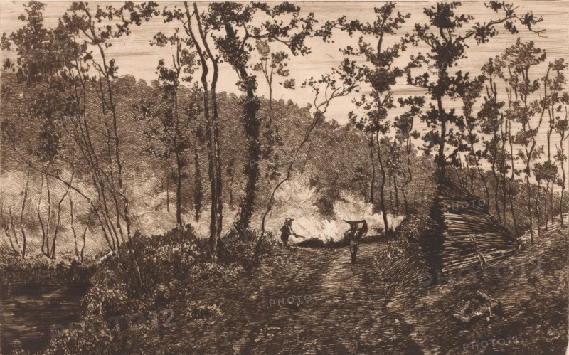 Forest with woodcutters and wood burners, print, workshop stamp: 'Antwerpsche Etsers 1880', annotation: 'Bois et bucherons', print maker: Jules Guiette (signed by artist), 1862 - 1901, printmaker, paper, etching, drypoint, intaglio printmaking technique, height 198 mm x width 277 mm, woodcutting, woodcutter, forestry, A sepia-toned etched landscape showing a wooded scene with tall, slender trees and leafy branches rising from textured undergrowth, a winding dirt path cutting through the foreground toward a lighter, cloudlike clearing, a figure standing on the path carrying an object across their shoulders and another figure seated or crouched nearby, layered foliage and dense tree lines in the middle and background, a body of water at the lower left edge, and a large stack of cut logs or timber piled at the right edge.