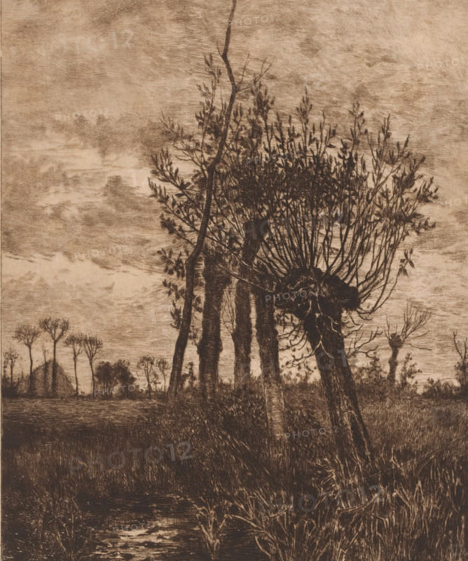 Decembre, Winter landscape with willows, print, workshop stamp: 'Antwerpsche Etsers 1880', printmaker: Jules Guiette (signed by artist), 1862 - 1901, paper, etching, drypoint, intaglio printmaking technique, height 319 mm x width 238 mm, landscapes in the temperate zone, trees: willow, A sepia-toned etching of a landscape showing several tall, slender trees with knotted trunks and dense clusters of thin branches and leaves at their tops, a few angled trunks leaning, a sky filled with layered, textured clouds, low vegetation and grasses in the foreground, a reflective water surface near the bottom, and distant thin trees and a small thatched structure on the horizon.