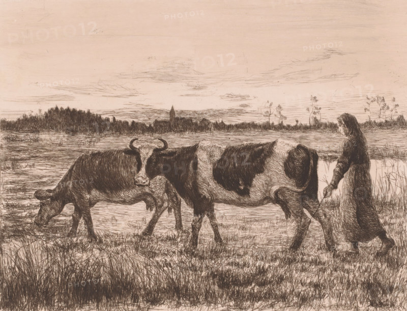 Two cows with a farmer's wife in a landscape, print, printmaker: Léopold Haeck (signed by artist), 1878 - 1910, Léopold Haeck, printmaker, paper, chine collé, etching, intaglio printmaking technique, height 187 mm x width 241 mm, farmers - AA - female farmer, farmer's wife, cow, A sepia-toned etching shows a grassy riverside landscape with two cows walking side by side and a person walking behind them holding a stick; the cows have dark patches and visible horns on one, while reeds and low vegetation fill the foreground and extend toward a distant treeline and a low skyline with scattered cloud lines.
